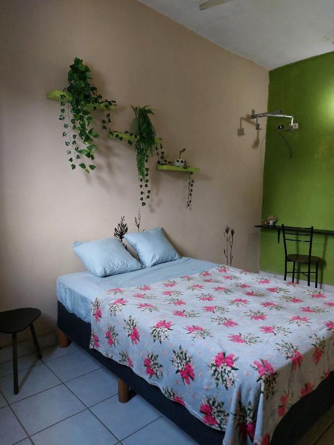 Cho Ku Rei Hostal San Jose del Cabo Luaran gambar