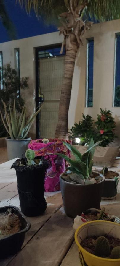 Cho Ku Rei Hostal San Jose del Cabo Luaran gambar