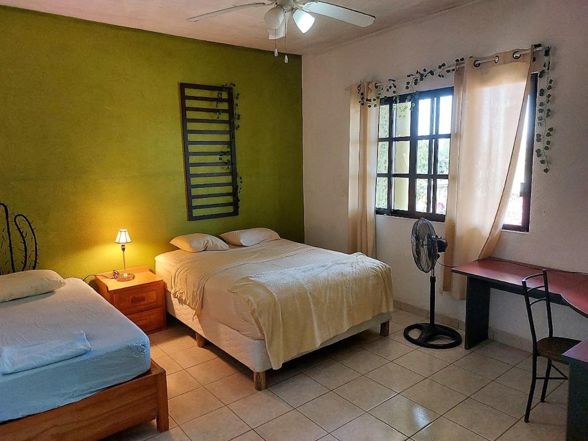 Cho Ku Rei Hostal San Jose del Cabo Luaran gambar